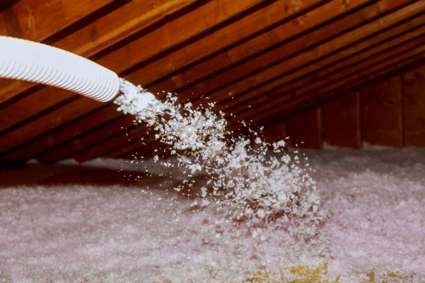 Best Residential Insulation in Wallace, NC