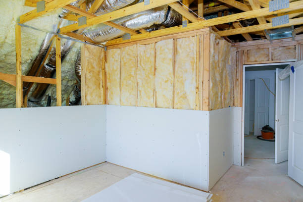 Best Geographic-Specific Insulation Services in Wallace, NC
