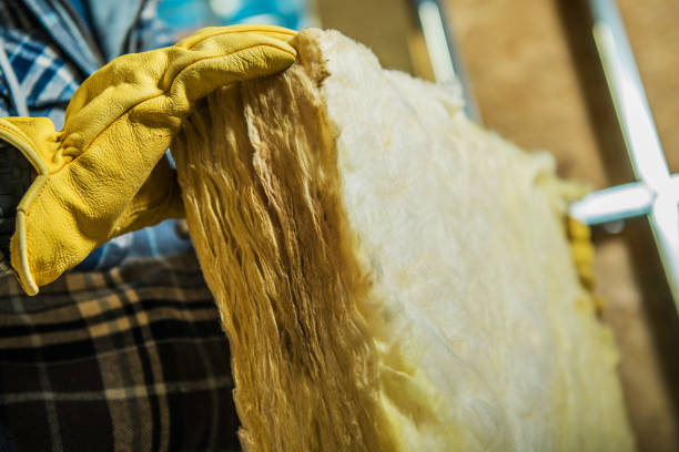 Best Blown-in Insulation in Wallace, NC