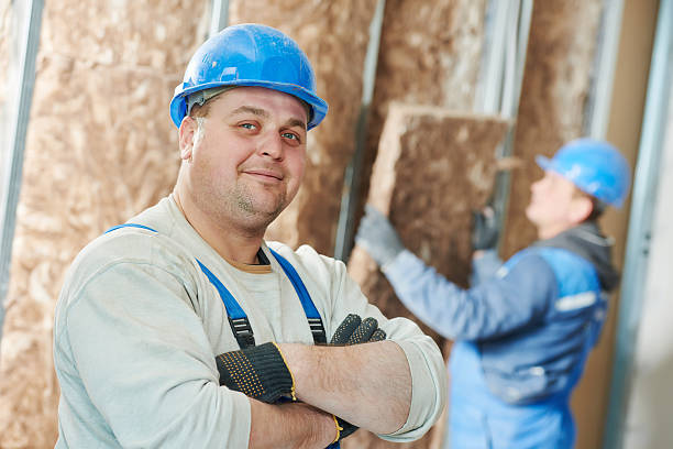 Best Specialized Insulation Services in Wallace, NC