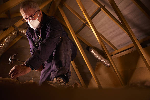 Professional Insulation Contractor in Wallace, NC